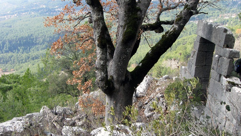 Beycik Historic Route